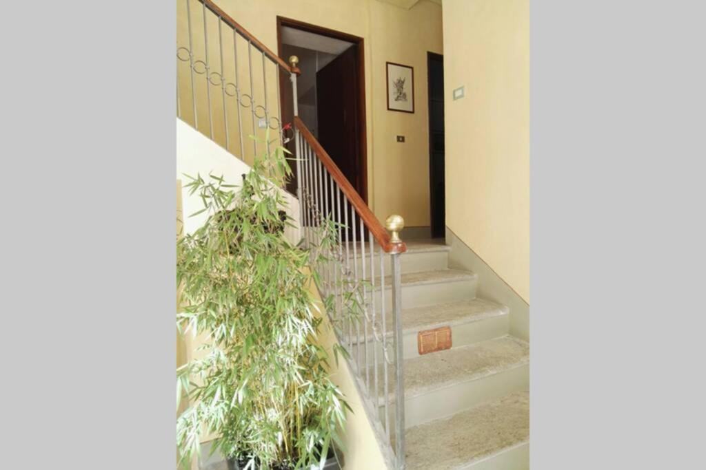 Appartement Ex Ostu Impero: vino, tartufo ed ospitalità à La Morra Extérieur photo